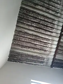 Snapshot of putoso031 chatting on February 2025 06:23:01 PM putoso031 online show from February 2025 06:23:01 PM