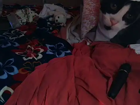 VeneRed online show from March 2026 06:55:02 PM