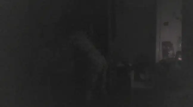 Snapshot of Just_Gabriella chatting on March 2025 01:18:02 PM Just Gabriella online show from March 2025 01:18:02 PM