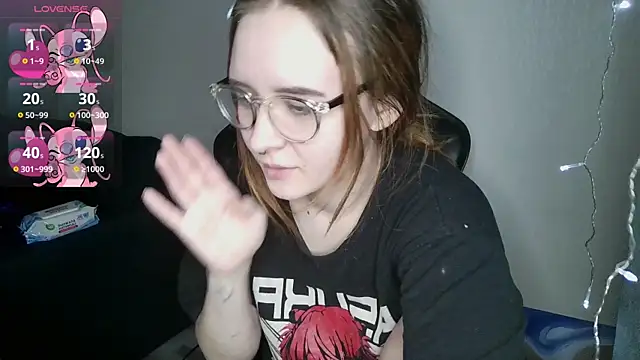 Snapshot of crashtest_13 chatting on February 2025 04:03:02 PM crashtest 13 online show from February 2025 04:03:02 PM