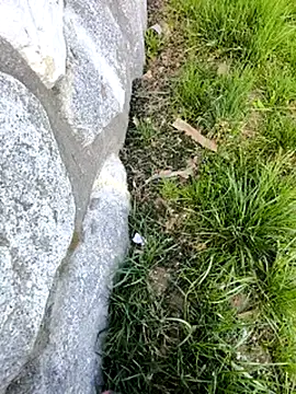 Snapshot of DrownMentallyyy chatting on March 2025 12:35:02 PM DrownMentallyyy online show from March 2025 12:35:02 PM