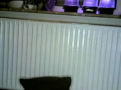 Snapshot of yola181 chatting on February 2025 06:52:02 AM yola181 online show from February 2025 06:52:02 AM