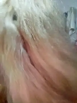 Snapshot of sadnessgyall chatting on February 2025 09:15:01 AM sadnessgyall online show from February 2025 09:15:01 AM