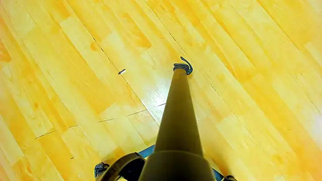 Loggan donnelly online show from February 2025 11:04:01 PM