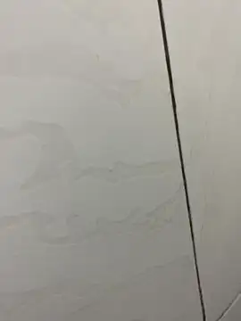 picatorta19 online show from December 2025 06:25:02 PM