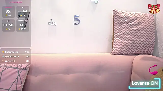 1Sloppy Fox4 online show from December 2024 10:51:02 AM