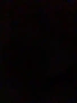 Ectorius online show from March 2026 02:44:01 PM