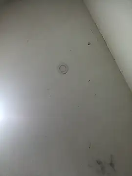 jeremiabello online show from March 2025 10:49:02 AM