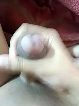 GUWAHATIBULL4405 online show from December 2024 01:02:02 PM