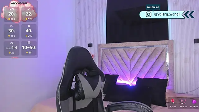 Snapshot of Valery_wang chatting on November 2025 11:58:01 AM Valery wang online show from November 2025 11:58:01 AM