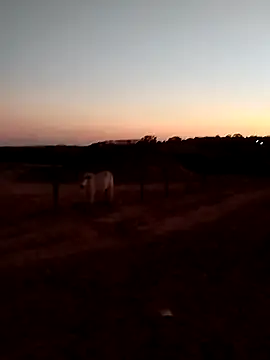 Leocesar37 online show from September 2025 09:36:01 PM