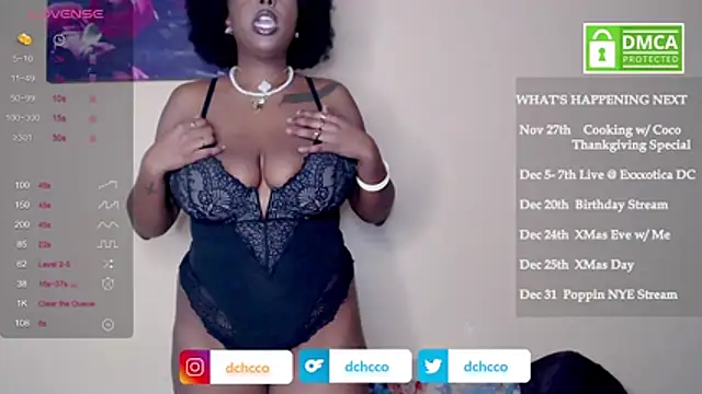 dchcco online show from November 2025 07:58:01 PM