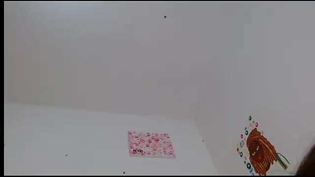 Snapshot of kity__ chatting on February 2025 04:58:02 PM kity   online show from February 2025 04:58:02 PM