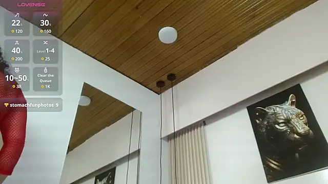 Snapshot of virtual_charm chatting on February 2025 04:56:02 PM virtual charm online show from February 2025 04:56:02 PM