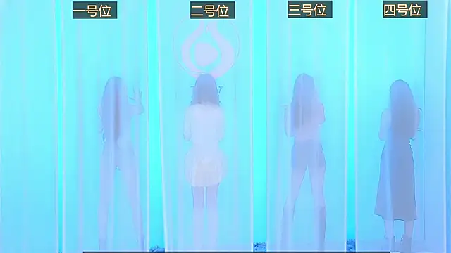 Snapshot of SS119 chatting on December 2024 11:52:02 AM SS119 online show from December 2024 11:52:02 AM