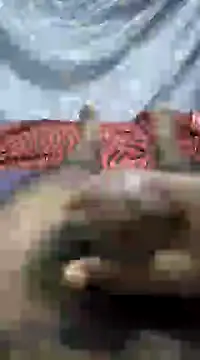 mallucallboy2104 online show from January 2025 09:09:02 PM