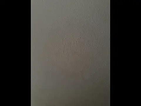 Snapshot of cretanbi chatting on November 2025 12:48:01 PM cretanbi online show from November 2025 12:48:01 PM