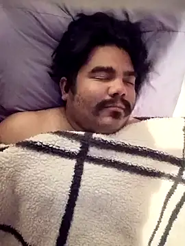 Snapshot of Brickstash chatting on October 2025 07:42:01 AM Brickstash online show from October 2025 07:42:01 AM