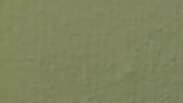 Snapshot of xLyibitsa chatting on January 2025 07:21:01 PM xLyibitsa online show from January 2025 07:21:01 PM