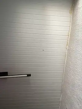 Snapshot of luara1988 chatting on November 2025 12:27:01 PM luara1988 online show from November 2025 12:27:01 PM