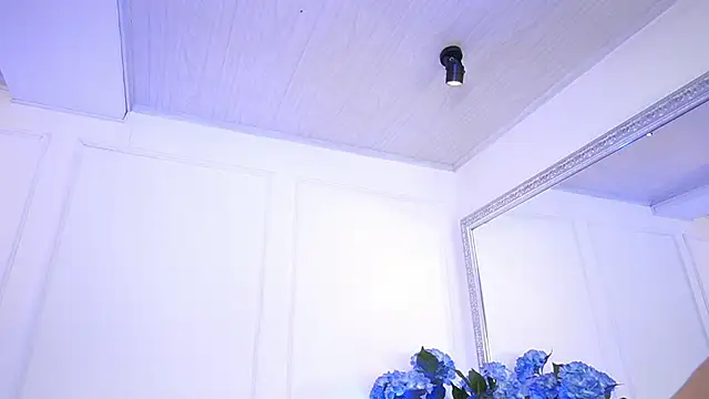 Snapshot of elasummer chatting on January 2025 03:52:01 PM elasummer online show from January 2025 03:52:01 PM