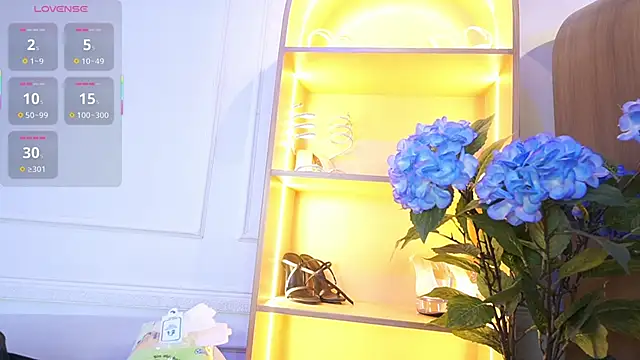 Snapshot of elasummer chatting on November 2025 11:31:02 AM elasummer online show from November 2025 11:31:02 AM