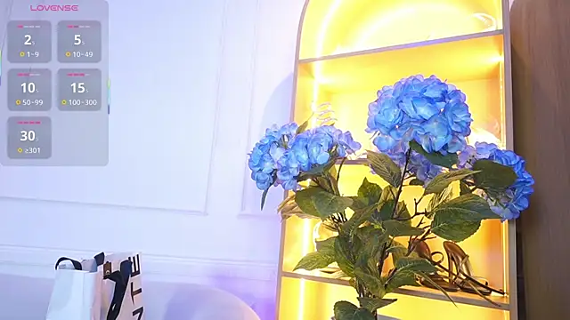 Snapshot of elasummer chatting on November 2025 11:57:02 AM elasummer online show from November 2025 11:57:02 AM