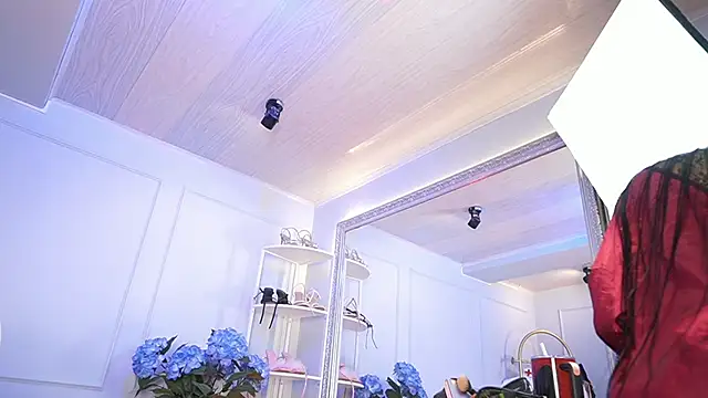 elasummer online show from March 2026 01:11:02 PM