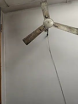 hardyloves online show from December 2024 09:31:01 AM