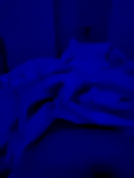 hardyloves online show from March 2025 06:23:02 PM