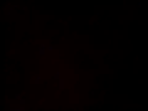 linksjack1010 online show from February 2025 09:37:02 PM