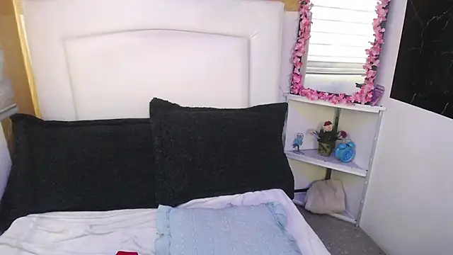 palmer mIix online show from December 2024 01:47:01 PM