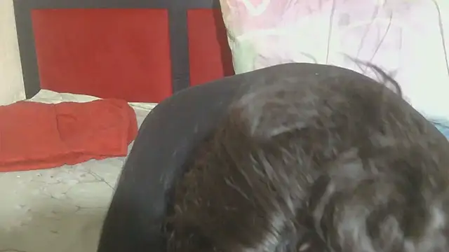 Snapshot of MaximTease24 chatting on June 2026 10:41:02 PM MaximTease24 online show from June 2026 10:41:02 PM