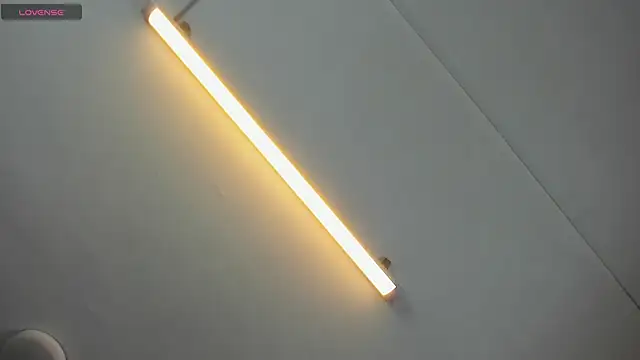 Snapshot of Brianrosex chatting on November 2025 03:28:01 AM Brianrosex online show from November 2025 03:28:01 AM