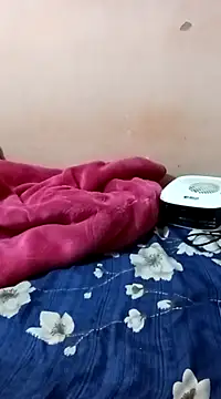 Snapshot of maftel chatting on December 2024 01:53:02 AM maftel online show from December 2024 01:53:02 AM