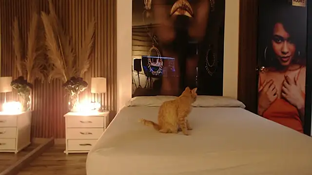 Sam mansson66 online show from November 2025 02:27:01 PM