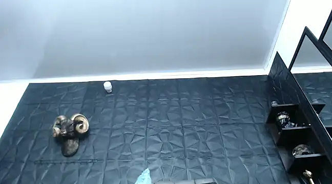 Snapshot of Hanna_Fox_69 chatting on December 2024 12:34:01 PM Hanna Fox 69 online show from December 2024 12:34:01 PM