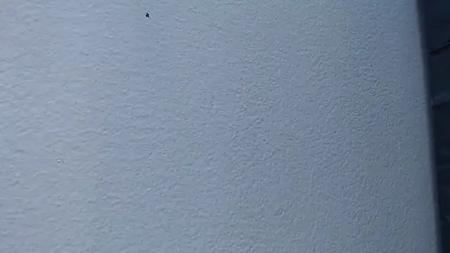 Snapshot of Hanna_Fox_69 chatting on February 2025 06:02:01 AM Hanna Fox 69 online show from February 2025 06:02:01 AM