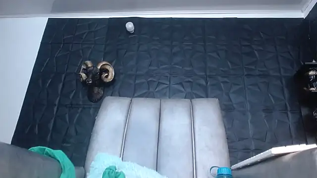 Snapshot of Hanna_Fox_69 chatting on October 2025 10:22:02 AM Hanna Fox 69 online show from October 2025 10:22:02 AM