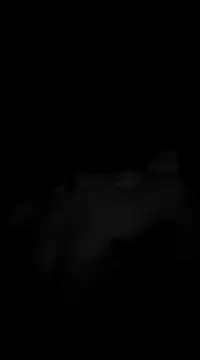 Snapshot of Deniell-01 chatting on March 2025 10:20:01 PM Deniell-01 online show from March 2025 10:20:01 PM