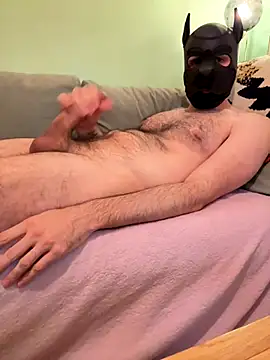 Snapshot of FrenchCamDog chatting on October 2025 11:14:02 PM FrenchCamDog online show from October 2025 11:14:02 PM