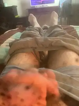 solomec online show from February 2026 09:17:01 AM