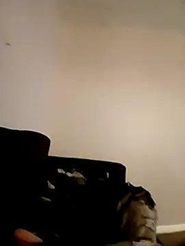 willywonka7793 online show from December 2024 05:33:01 PM