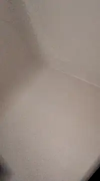 willywonka7793 online show from December 2024 06:02:02 AM