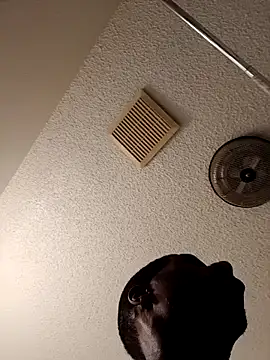 willywonka7793 online show from March 2025 04:56:02 PM