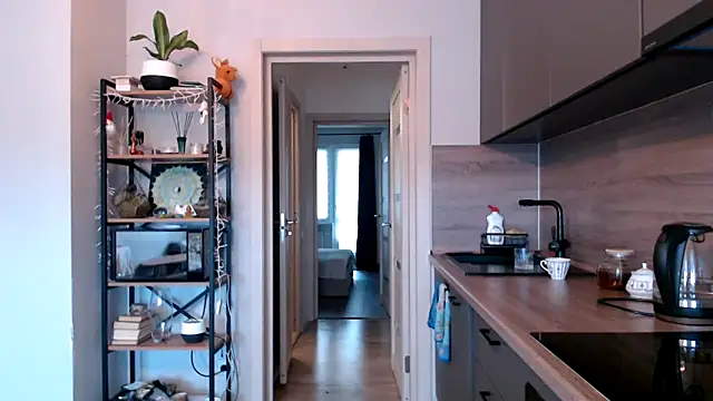 jainesummer online show from March 2025 08:19:02 AM