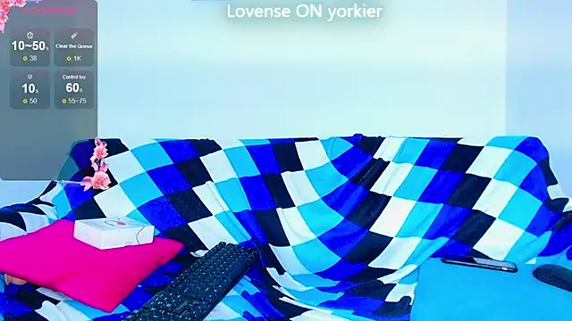 Yorkdirty online show from September 2025 10:21:02 PM