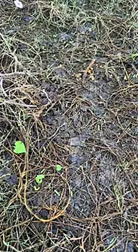 Snapshot of tamil000000 chatting on March 2025 01:38:02 AM tamil000000 online show from March 2025 01:38:02 AM