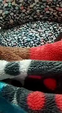 houda sex hot online show from February 2025 11:12:02 PM