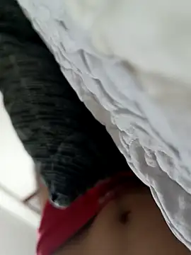 Loytder online show from April 2026 05:13:01 AM